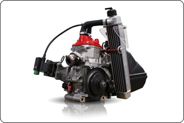 moteur-Rotax-Micromax.png